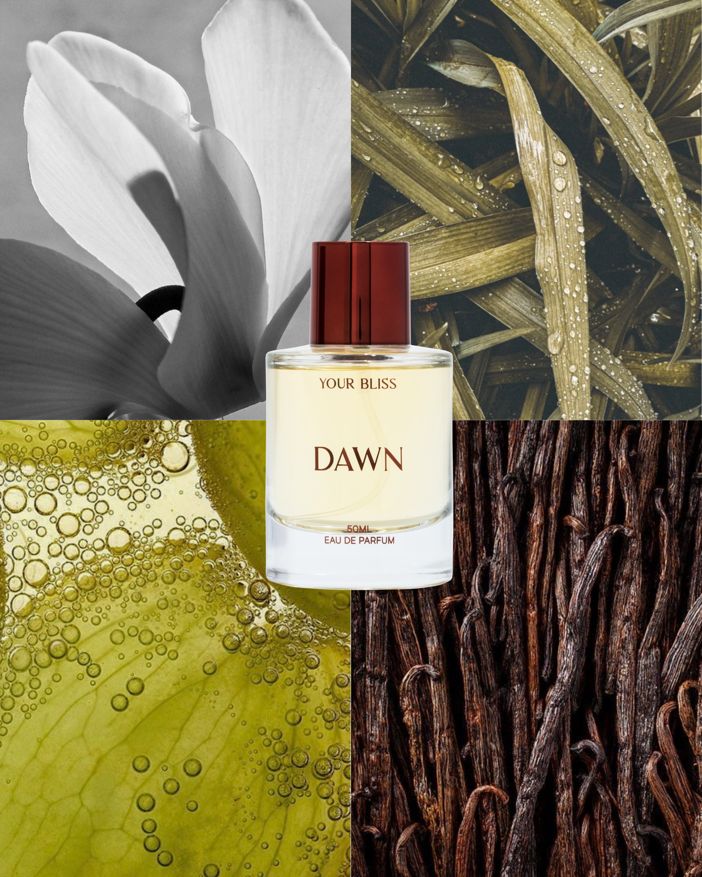 Dusk & Dawn Eau De Parfum 15ml