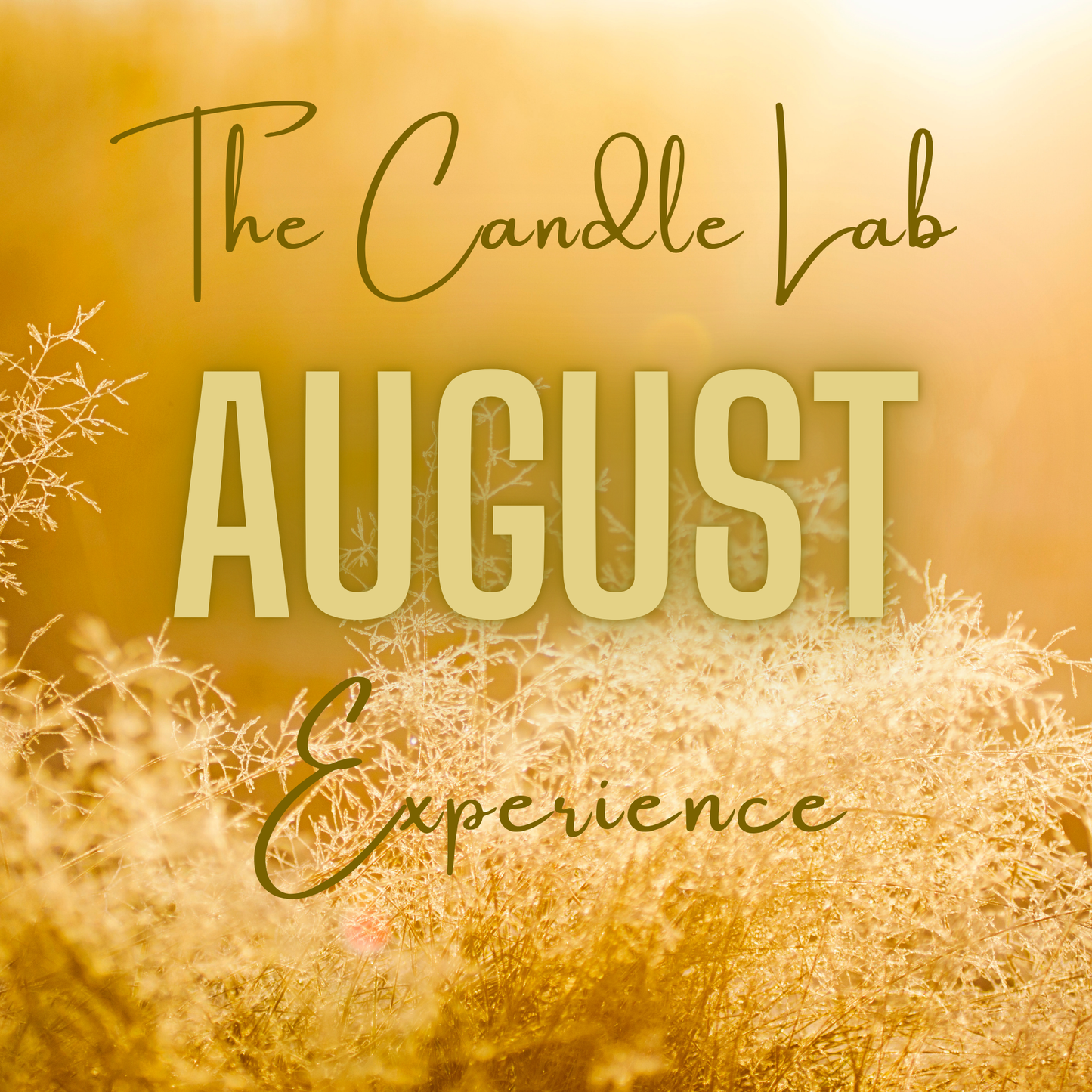 August - The Candle Lab Experience