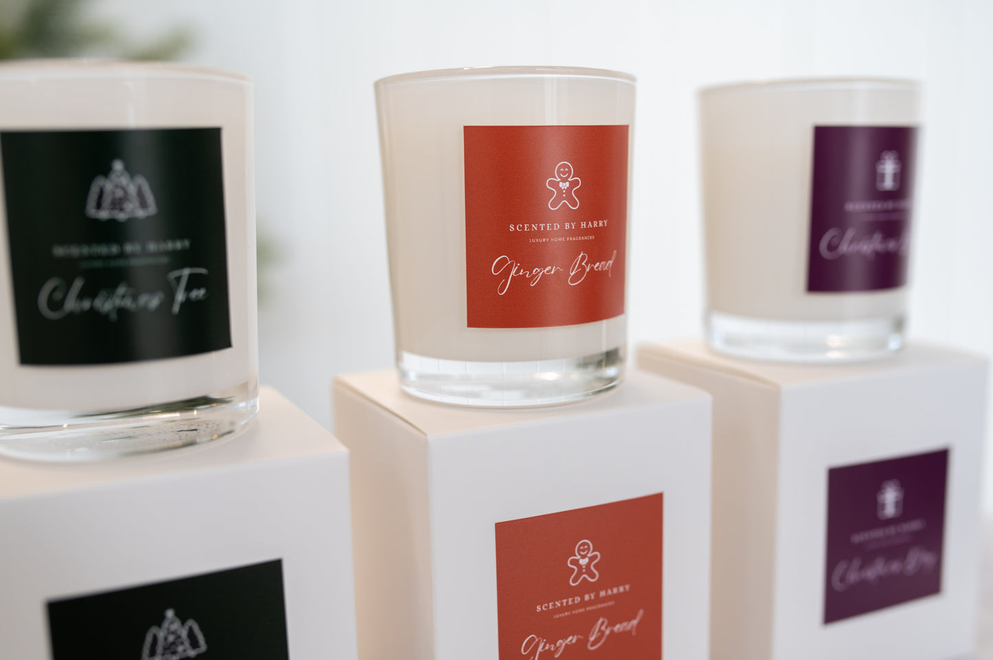 Christmas Deluxe Candle 100g