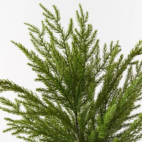 Pine Cypress Spray