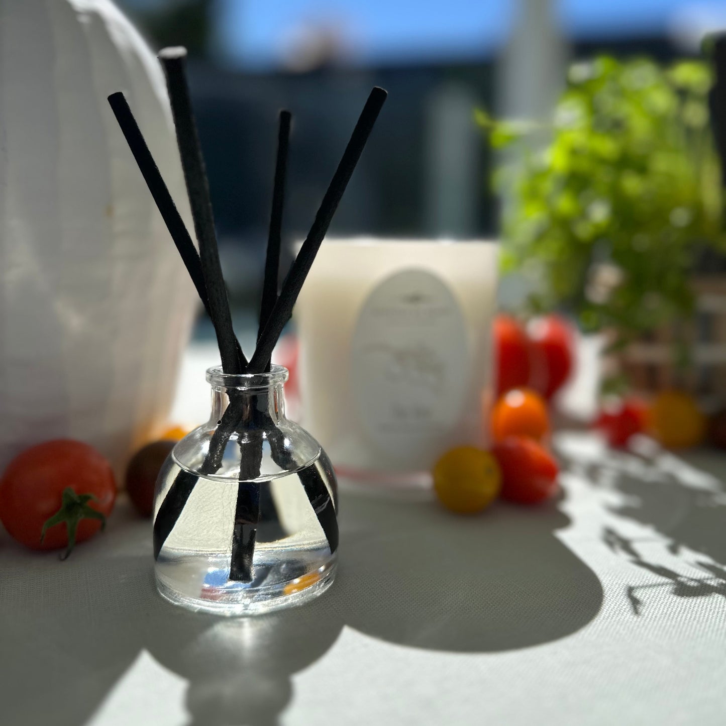 Globe Reed Diffuser 50ml