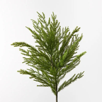 Pine Cypress Spray