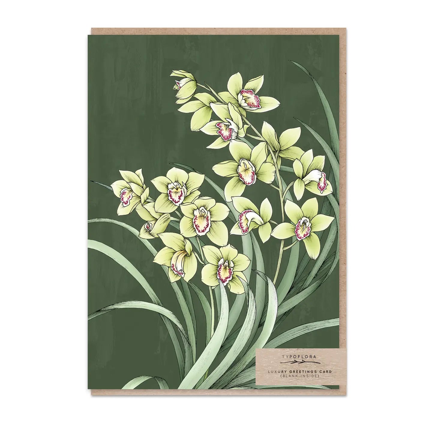 Greeting Cards - Valentine's