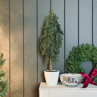 Tree Pine Cypress in pot Green 50cmh