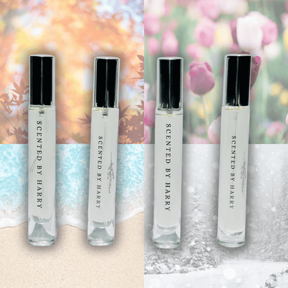 Seasonal Discovery Set