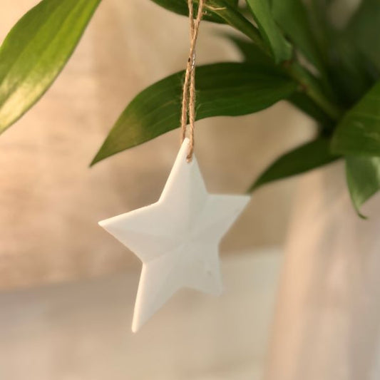 Ornament Star - Ceramic Matt