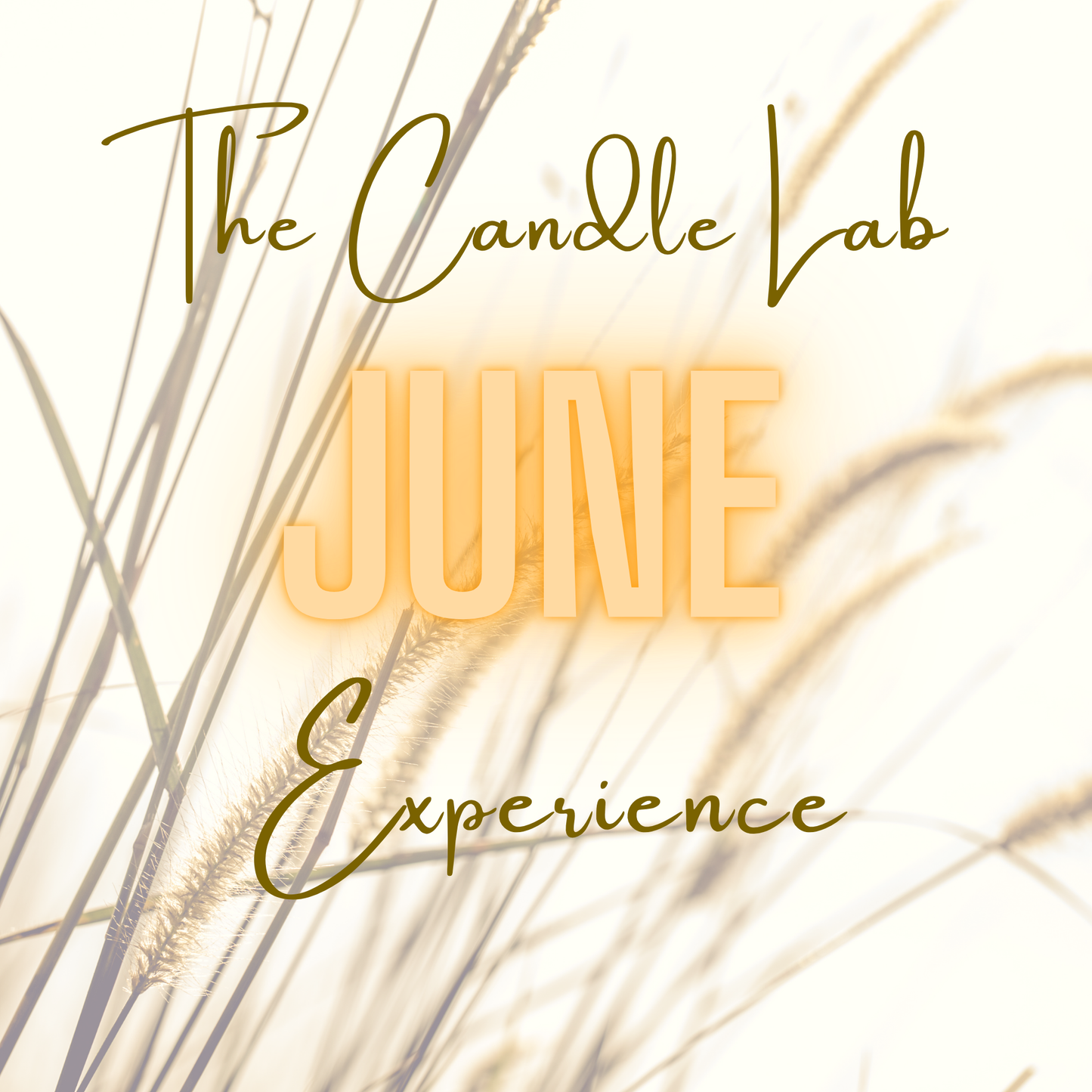 June - The Candle Experience