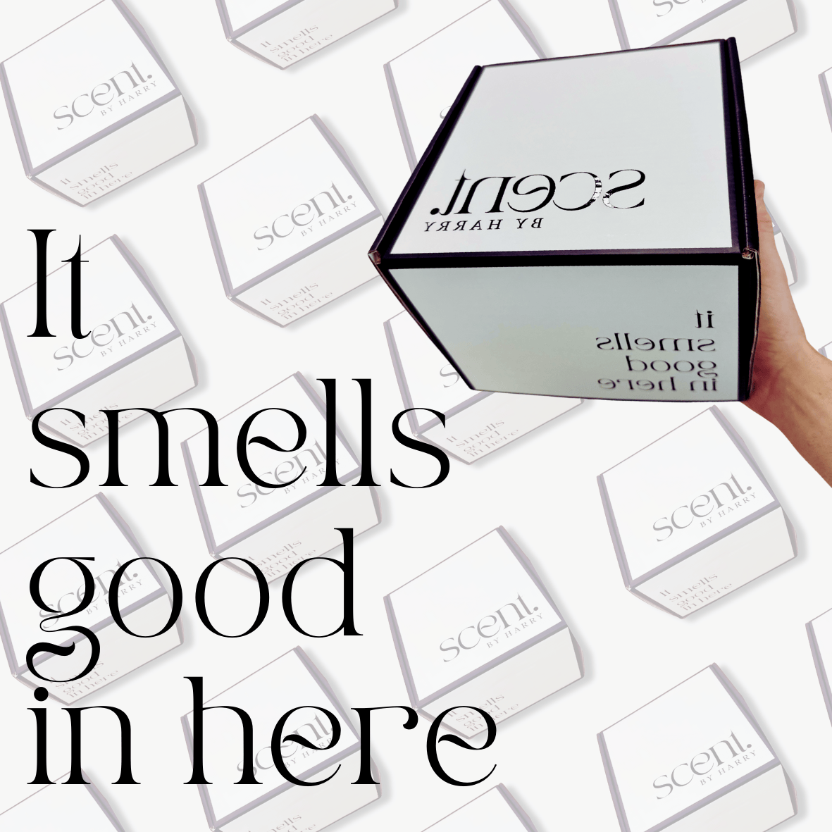 Scent by Harry Subscription Box