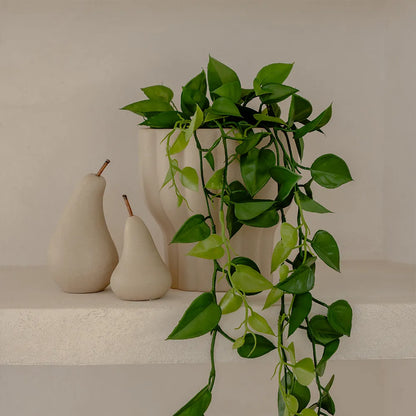 Pear Ornament