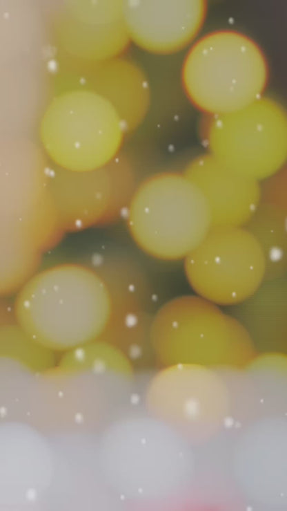 PRE-ORDER - The Advent Box